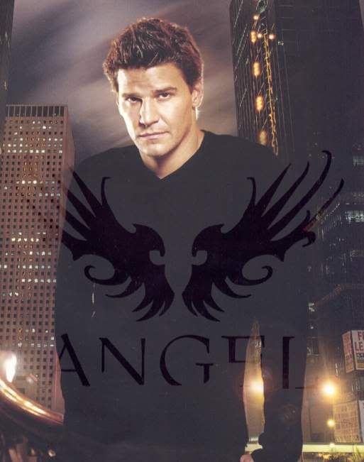 David Boreanaz Pictures, Images and Photos